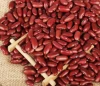 Red kidney beans light speckled kidney bean big and full good quality red and light