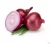 Import Red onion fresh export with best market price /  Red Onion from South Africa
