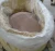 Import Refractory Materials 66 Zro2 Zircon Sand from China