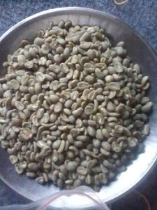 Robusta Java Coffe Beans