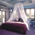 Import round mosquito  net  double bed canopy from China