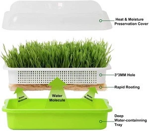 Seed Sprouter Tray with Lid, Seed Germination Tray BPA Free Nursery Tray for Seedling Planting Great for Garden Home Office
