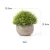 Import Set of 4 Package Artificial Plastic Mini Plants Unique Fake Fresh Green Grass Flower in Gray Pot For Living Home Decor from China