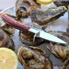Shellfish Seafood Shell opening tools wood handle Stainless steel oyster knife