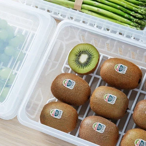 SHIMOYAMA Plastic Transparent Fruit/Vegetables Celery Storage Box Refrigerator Food Container With A Clapboard