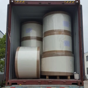 single or double pe coated paper roll for paper cup