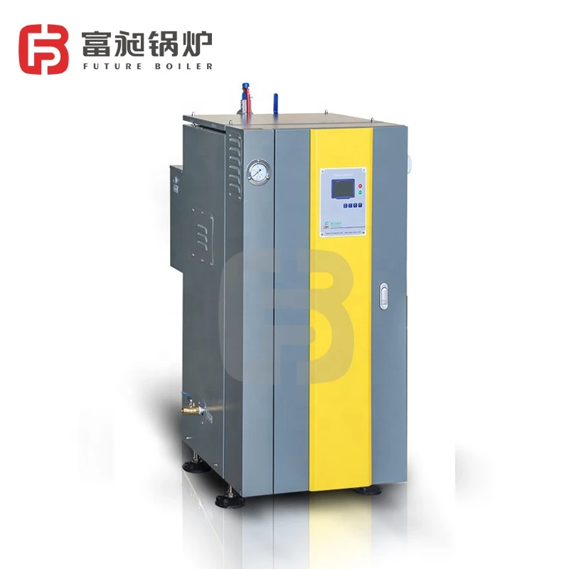 Small Scale 12 KW Electric Steam Boiler for Sale