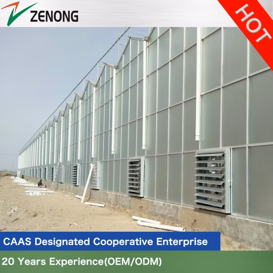 <span>China Made Venlo Style Tempered Glass Green House with Large Roof Ventilation for Aquaponics</span>