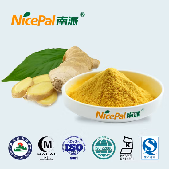 Wholesale Ginger Extract Ginger Juice Powder Ginger Powder for Hot Drinks