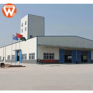 Strongwin supply farm design light weight steel structure warehouse for feed plant
