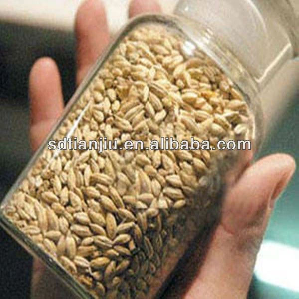 Supply High Quality barley malt extract from China