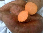 Sweet Potato