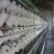 Import TC PC 90/10 80/20 65/35 Polyester Cotton Blended Spun Yarn from China