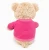 Import Teddy Bear Plush Toy / Animal Soft Stuffed Toy / EN71 toy factory from China