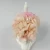 Import The Multifunctional Preserved Rose Long Life Flowers Last for Years from China