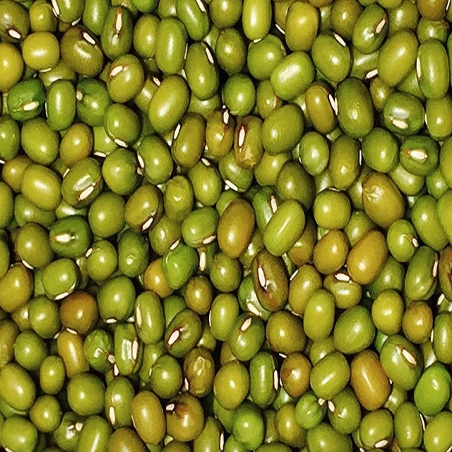 Top GradeGreen Mung Beans
