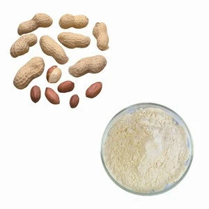 Top Quality Peanut Protein for Food and Beverage Additives