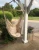 Import Topind Hammock Hanging Chair, Rope Hammock Chair Swing, Swings from China
