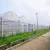 Import Vegetable Production greenhouses China Film Greenhouse Agricultural Greenhouse from China