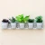 Import Vertical garden systems green wall Modules vertical garden pots and Planters from China