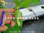 Vietnam coco peat block 5kgs coco peat price