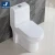Import Watermark toilet sanitaryware bathroom floor mounted toilet installation from China