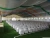 Import Waterproof Party Event Banquet Wedding Tent from China