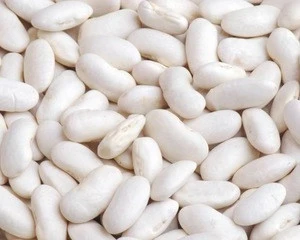 white kidney beans / butter beans