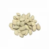 White Pumpkin Seeds 11cm--13cm 2020 crop