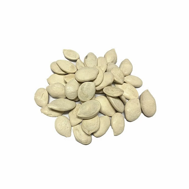 Quality Raw Dried White Pumpkin Seeds 11cm-13cm Long in Best Pricing