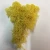 Import Wholesale Best Quality Kunming Grade A Preserved reindeer moss for Wall Decoration from China