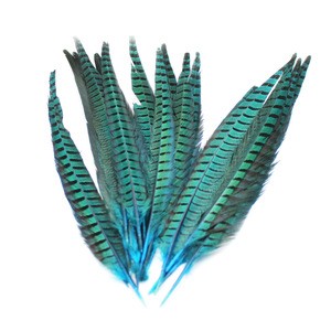 Wholesale Colorful Pheasant_feathers Ring-necked Pheasant Tail Feather for Carnival