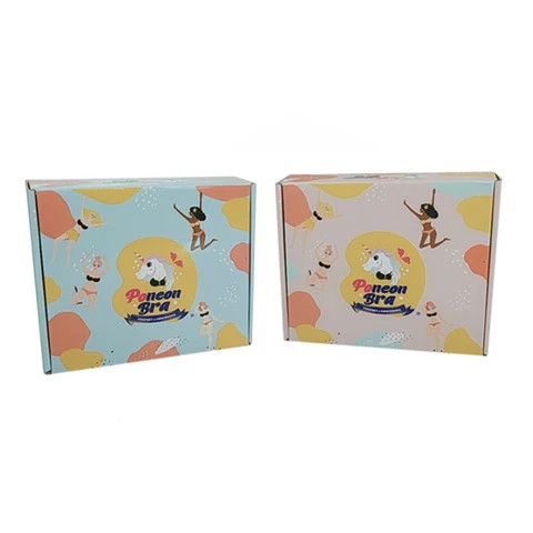 Wholesale Custom Printed Unique Corrugated Shipping Boxes Bra Packaging Cardboard Mailer Box
