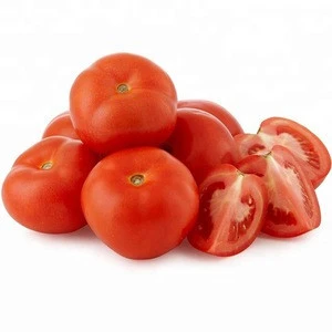 Wholesale Fresh Tomato / Fresh Tomato Price / Tomato Exporter In India