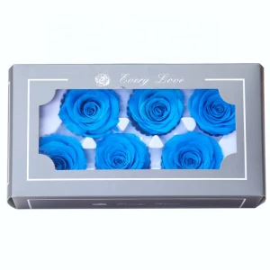 Wholesale Galaxy red rose Preserved Real Flowers gifts box for Wedding wall decor