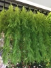 Wholesale greenery artificial wall hanging plants for flower wall