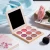 Import Wholesale High Quality 9 Color Pearlescent Matte Waterproof Sunscreen Blush Powder Palette Makeup Private Label from China