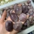 Import Wholesale Natural Tumbled Pink Amethyst Crystal Palm Healing Crystal Stones from China