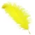 Import Wholesale Party Decoration Supplies Golden Ostrich Feathers from China