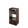 Wooden Material 2 Drawers Beauty Salon Trolley