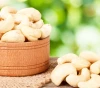 ww210 Cashew Nut / Wholesale Price for cashew ww210 in India