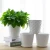 Import [ZIBO HAODE CERAMICS]Multiple designs plant indoor decorative ceramic flower pot from China
