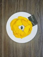 Dried Mango from Vietnam