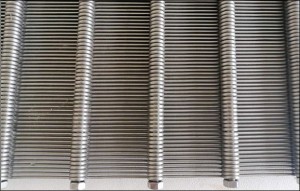 Looped Wedge Wire Screens