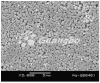 200-2000nm silver powder/silver nanoparticles