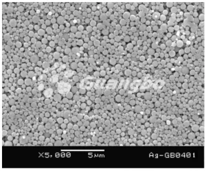200-2000nm silver powder/silver nanoparticles