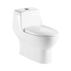 White traditional Bathroom  Ceramic  Elongated Skirted Comfort Height One Piece Toilet