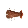 Live / Frozen Slipper Lobster (Flathead Lobster / Thenus Orientalis)