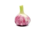 High Quality Fresh Natural Organic Garlic Price for Sale