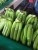 Import Bananas, fresh bananas, Bananas Cavendish from Ecuador
